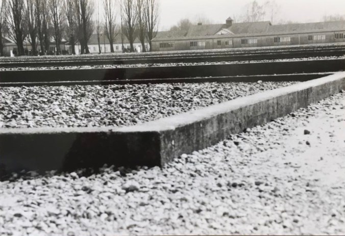 d835874d-59f3-49af-940d-8b6d3e40f7c9